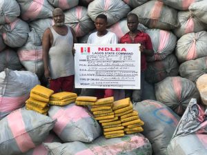 NDLEA intercepts 12,385kg “Loud” Indian hemp on Lagos waterway