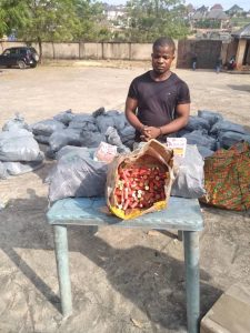 NDLEA intercepts 64,000 pump action cartridges, rescues 34 children from traffickers